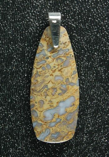 Blue/Green, Agatized Dinosaur Bone (Gembone) Pendant #84757